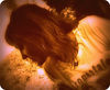 radioangel1975